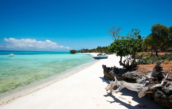 pemba-island-Tanzania-1024x683